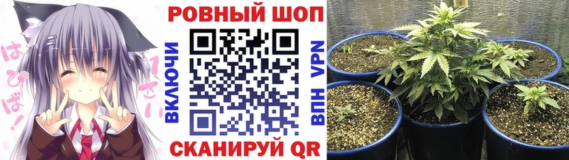  Cocaine Дагестанские Огни