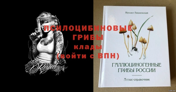 твердый Гусь-Хрустальный