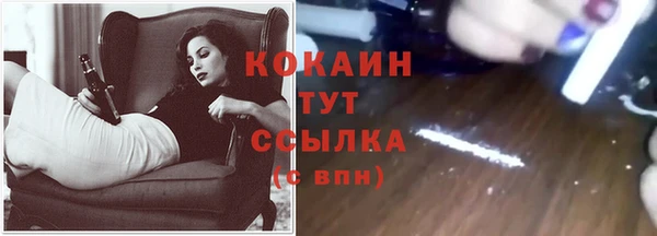 прущие крисы Горняк