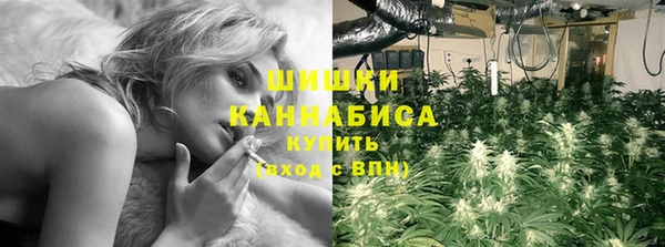 прущие крисы Горняк