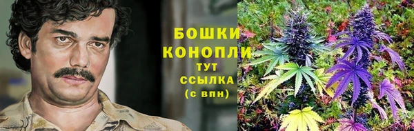 прущие крисы Горняк