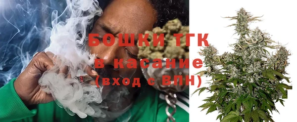 ПСИЛОЦИБИНОВЫЕ ГРИБЫ Горнозаводск