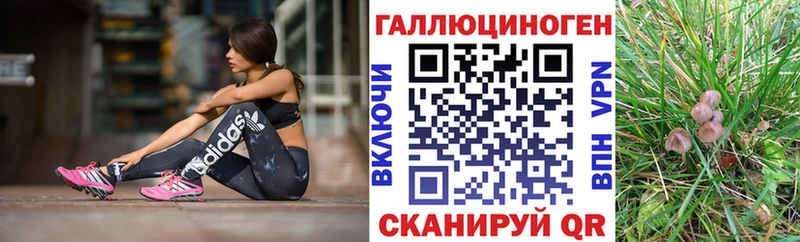 магазин продажи наркотиков  Дагестанские Огни  Псилоцибиновые грибы ЛСД 